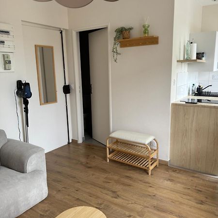 Appartement Avec Une Chambre Lyon Bagian luar foto