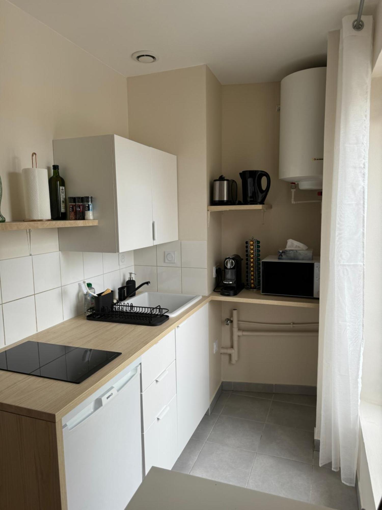 Appartement Avec Une Chambre Lyon Bagian luar foto