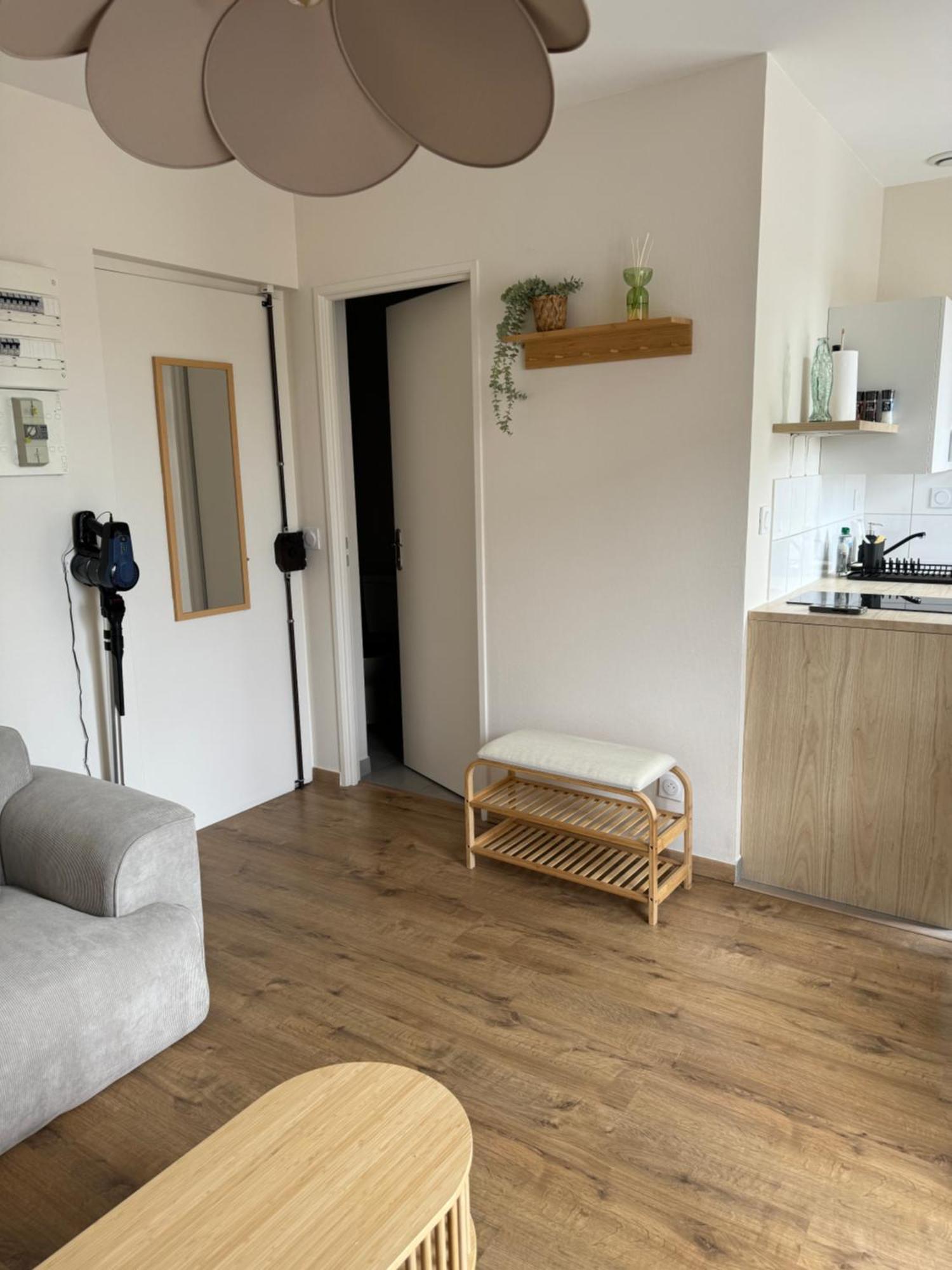 Appartement Avec Une Chambre Lyon Bagian luar foto